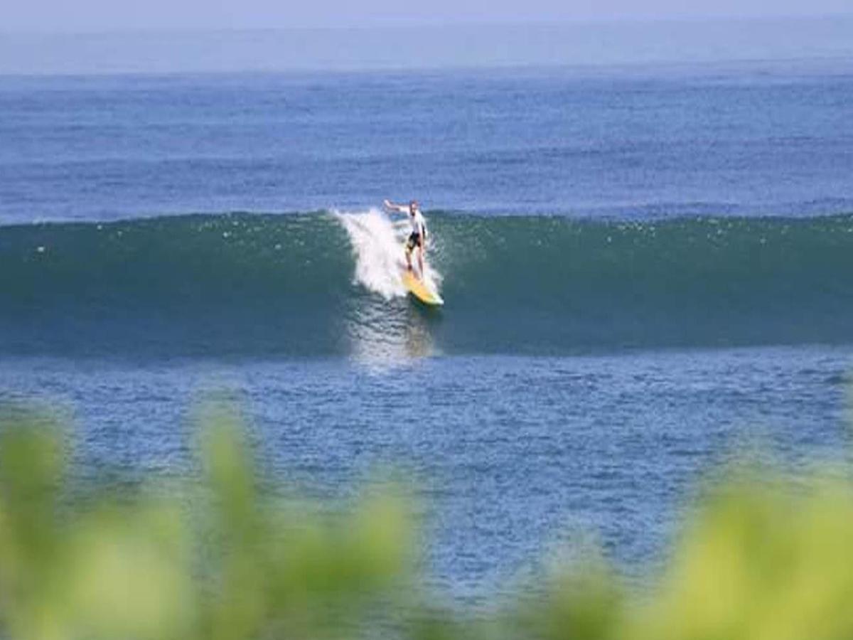 The Nest Canggu エクステリア 写真